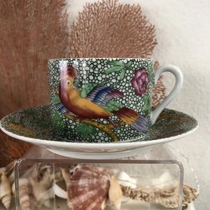 The Haldon Group Parakeet Cup and Saucer Excellent Condition Retired